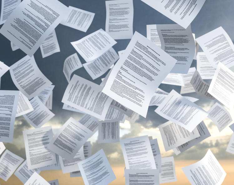Kundenstimmen Organisationsentiwcklung Schönfeld Unternehmensberatung